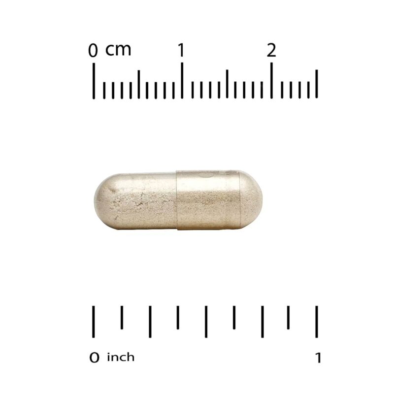 California Gold Nutrition, LactoBif 30 Probiotics, 30 Billion CFU, 60 Veggie Capsules - Image 3